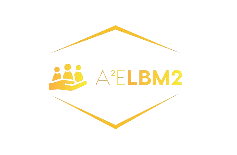 A2ELBM2